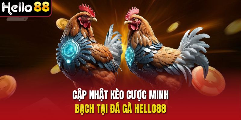 Cập nhật kèo cược minh bạch tại Đá gà Hello88